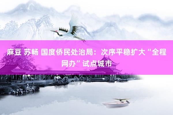 麻豆 苏畅 国度侨民处治局：次序平稳扩大“全程网办”试点城市