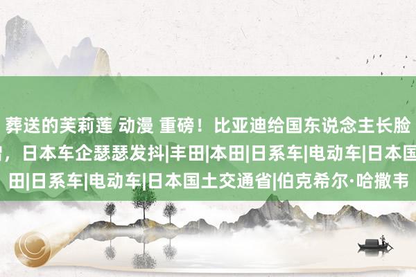 葬送的芙莉莲 动漫 重磅！比亚迪给国东说念主长脸了，泰国销量逆势大增，日本车企瑟瑟发抖|丰田|本田|日系车|电动车|日本国土交通省|伯克希尔·哈撒韦