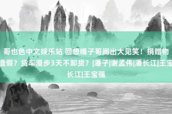 哥也色中文娱乐站 回想嘎子哥闹出大见笑！捐赠物质造假？货车漫步3天不卸货？|潘子|谢孟伟|潘长江|王宝强