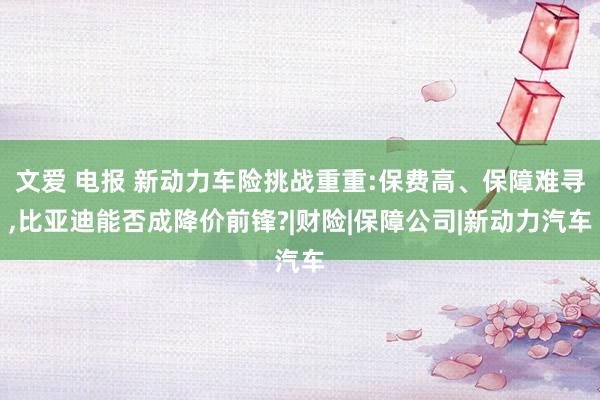 文爱 电报 新动力车险挑战重重:保费高、保障难寻，比亚迪能否成降价前锋?|财险|保障公司|新动力汽车